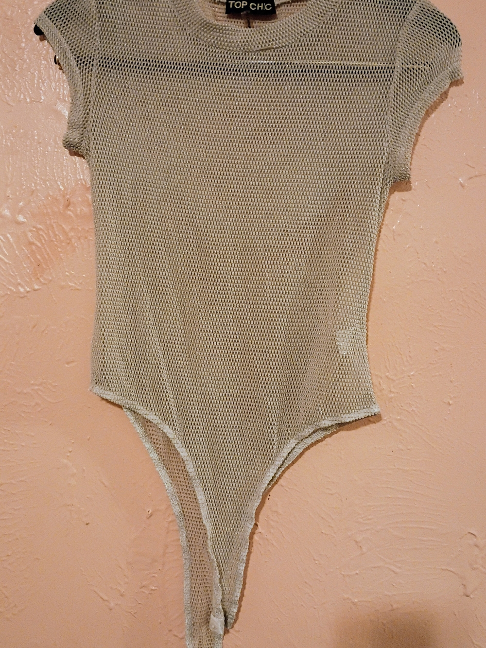Beige Mesh Bandeau Bodysuit
